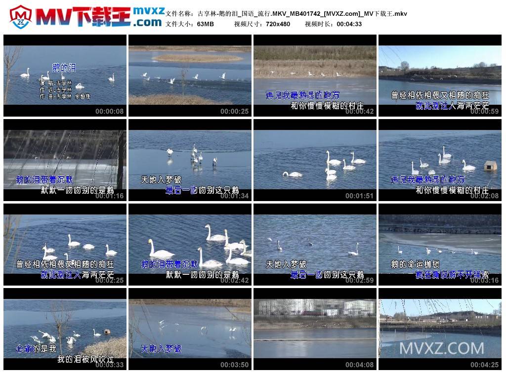 古享林-鹅的泪_国语_流行.MKV_MB401742